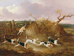 Beagles in volle jacht, 1845